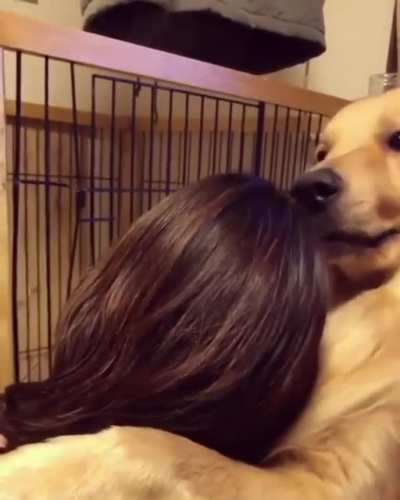Dogs are considered as human beings best friend
