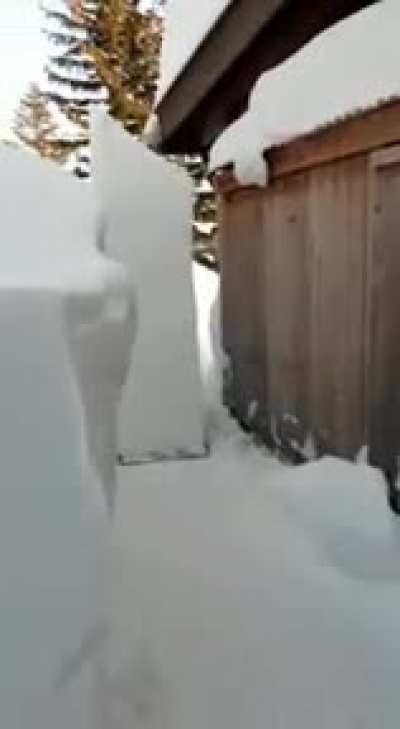 Epic snow shoveling