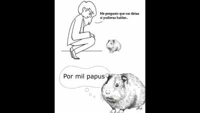 Temazo