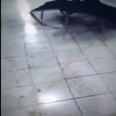 SCP has escaped containment