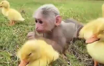Mujicano disfrutando su domingo