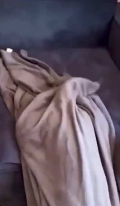 Incognito