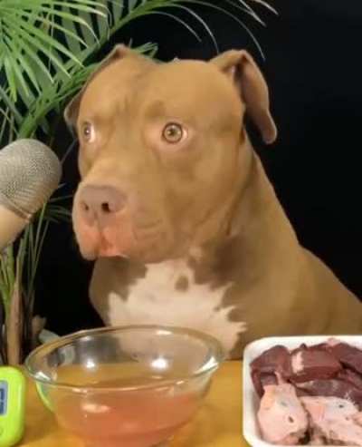 look at that face