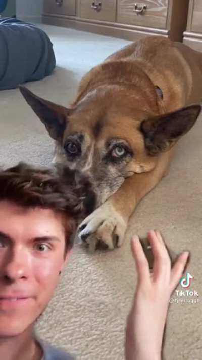 Cuddle clone