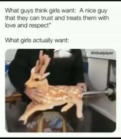 Everyone wants to be like that deer caw caw