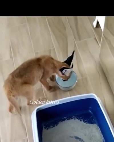 stay hydrated