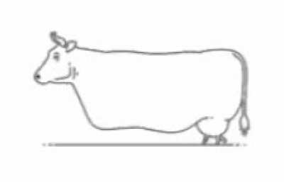 Blursed Cow