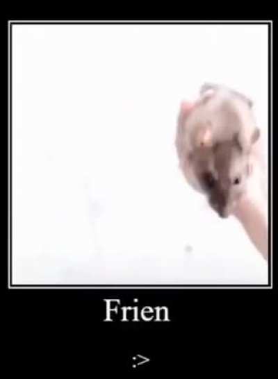 Frien :>