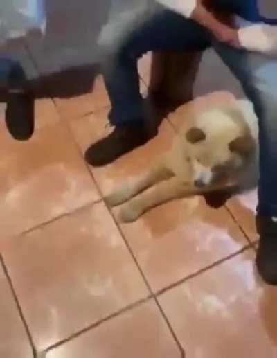 just watch