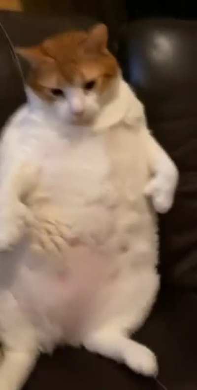 DON'T TOUCH ME THERE