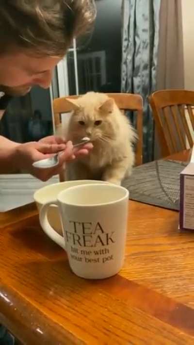 Ice cream headache !