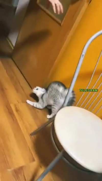 Как 