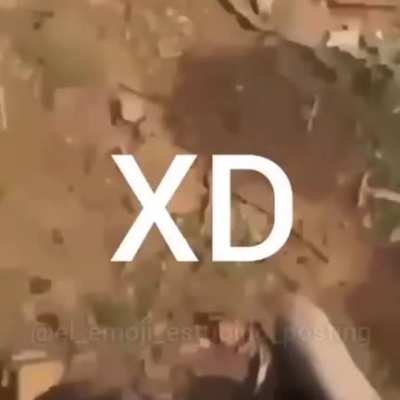 blursed_xD