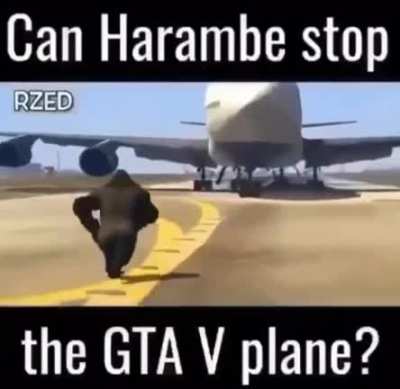 Can he?????!!!!!!?!?!?!??! (not clickbait) (3am challenge)