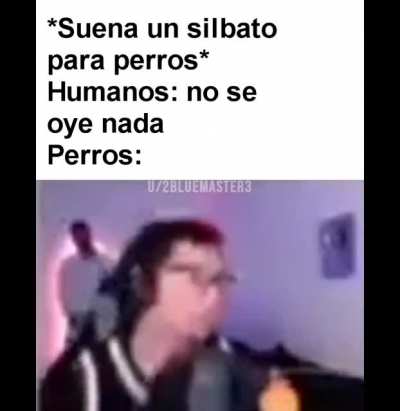 Un meme del español griton (HD edition)