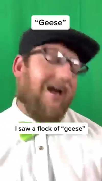 Moosen