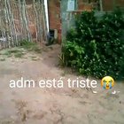 Me da adm q eu to bad