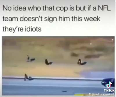 Gotta Go Fast!