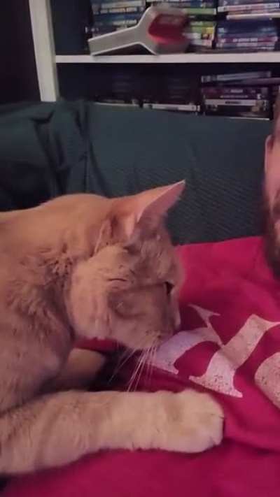 My cat sometimes cuddles in slow-mo. Cracks me up every time.