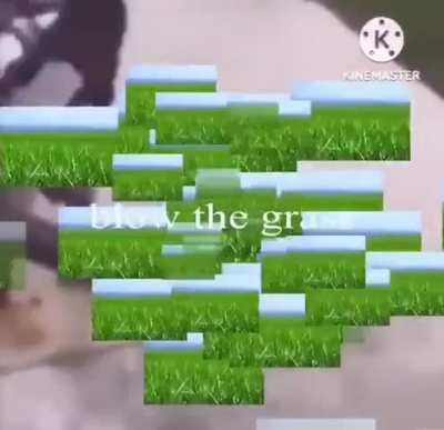 Blow the grass