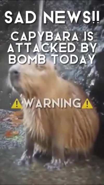 Nooooooooooo