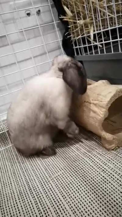 Sheer determination and willpower!