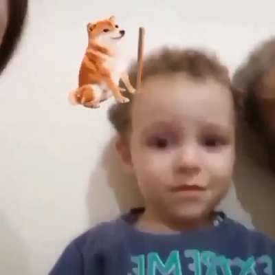 boink