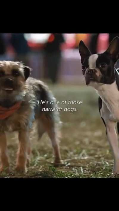 Another reason to love dogs 
