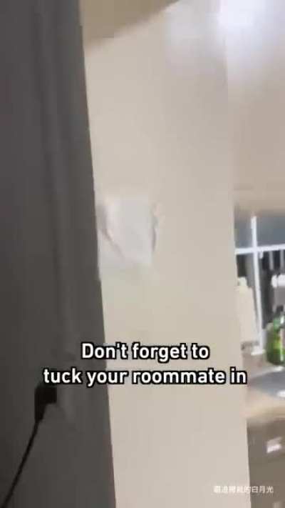 All Fun and Games Until the Cockroach Plays Dead... Or Not