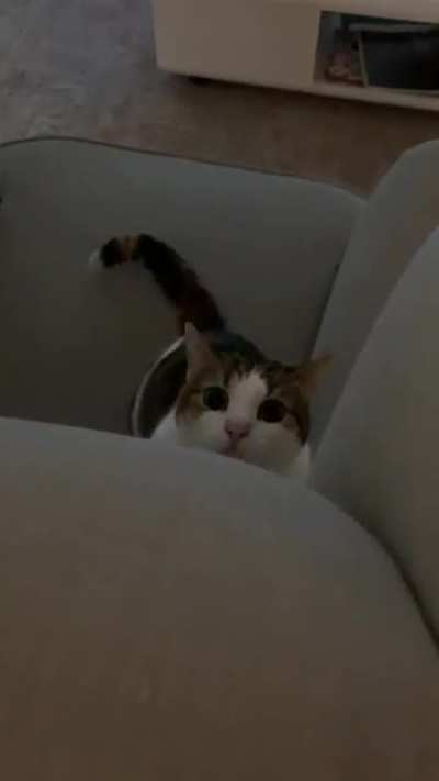 Boo!