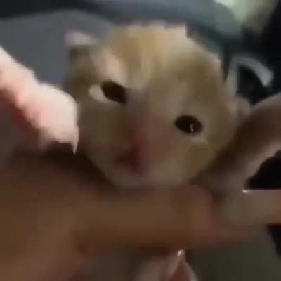 NOOOO!