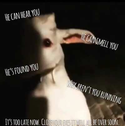 He’s found you.