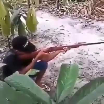 From Brazil with love