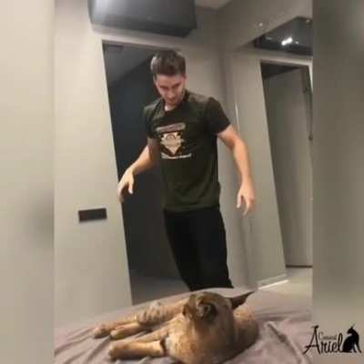 Floopa