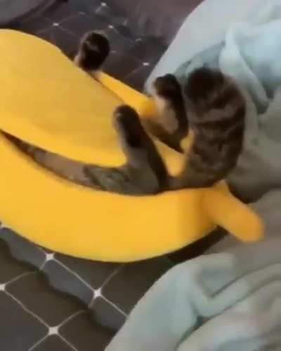 He really likes his new bed