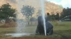 This is Faa Sai, a rescue elephant. She was naughty and broke a sprinkler. Now she is the happiest elephant in the world .