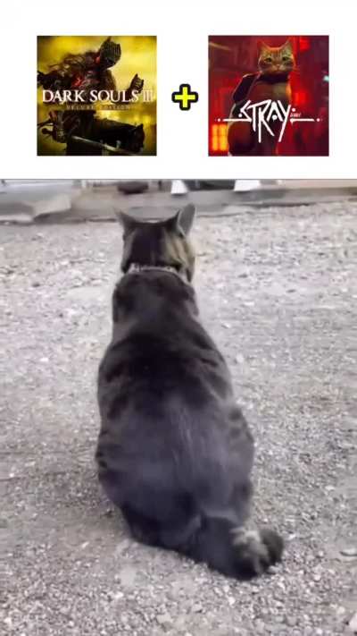 Greyslop + Peak