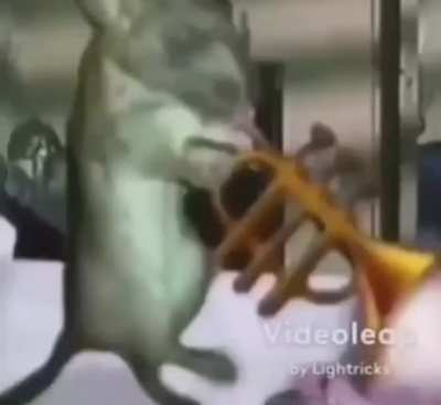 Rule