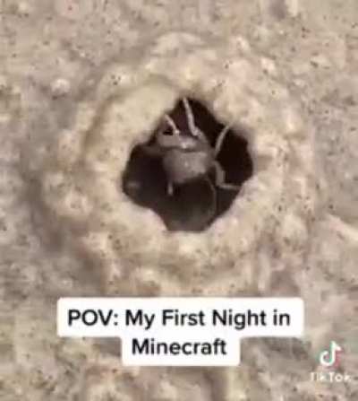 what's this spider (?) in this meme my brother sent me?