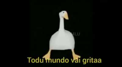 Ganso de Sapucaia está de volta!