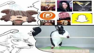 Mmm... rabbet.