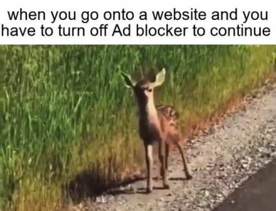 To the next website
