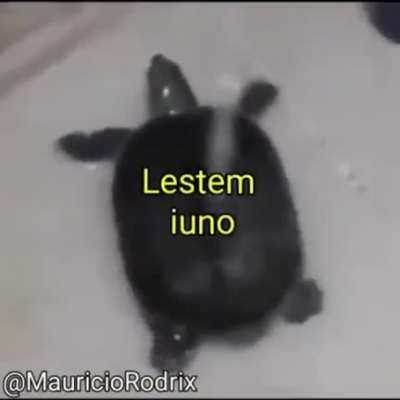 to tomando banho gostaram?