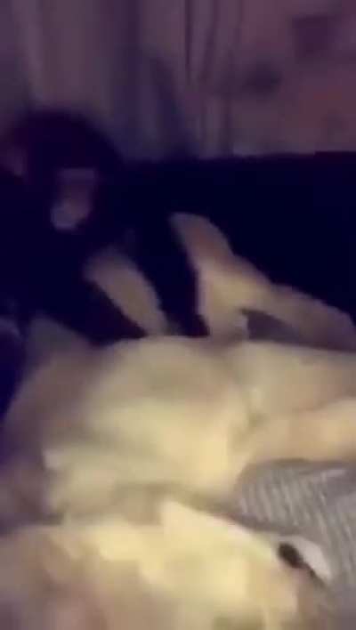 monke slap