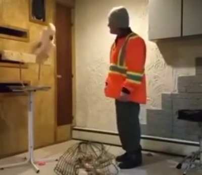 everyone needs to see this (rescue bird and the caretaker destroying the cage it was kept in)