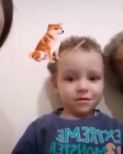 bonk