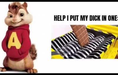 🙀