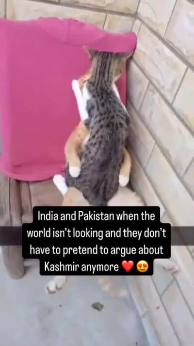 Chat is this true!?