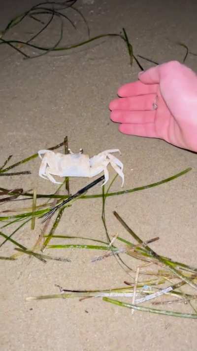 Me when Mr crabby didn’t like me 😔