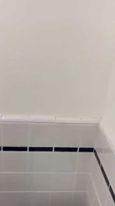 blursed hotel room